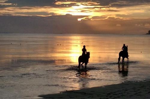 mauritius-horseback-riding-tours-horse-riding-mauritius-horse-riding-on-the-beach-sunset-horse-ride-pony-ride_12_