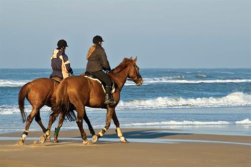 passeggiata_cavallo_spiaggia